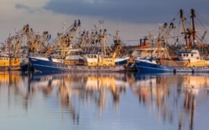 Governing the Seas: A Digital Governance Framework for India's Fisheries Sector Screenshot_2026-07-15-00-37-03-20_96b26121e545231a3c569311a54cda96