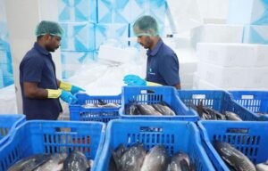 AI and IoT Powered Smart Cold Chain Infrastructure Can Transform India's Fisheries Sector Screenshot_2026-07-21-15-21-27-29_96b26121e545231a3c569311a54cda96