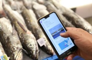 Blockchain-Based Seafood Traceability Can Strengthen India's Fisheries Sector Screenshot_2026-07-21-15-23-13-11_96b26121e545231a3c569311a54cda96