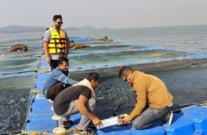 AI-Powered Fish Disease Detection Can Revolutionize India's Fisheries Sector Screenshot_2026-07-21-15-24-40-05_96b26121e545231a3c569311a54cda96