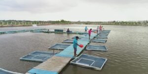 Digital Twin Technology Can Transform India's Fisheries and Aquaculture Sector Screenshot_2026-07-21-15-26-02-84_96b26121e545231a3c569311a54cda96