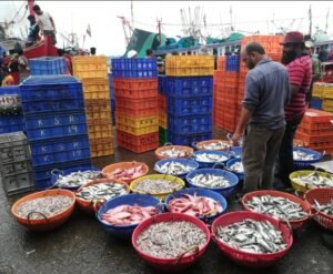AI-Powered Demand Forecasting Can Strengthen India's Fisheries Supply Chain Screenshot_2026-07-21-17-56-51-54_96b26121e545231a3c569311a54cda96